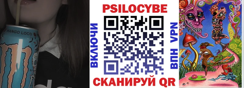 mega как зайти  Покров  Псилоцибиновые грибы Psilocybine cubensis 